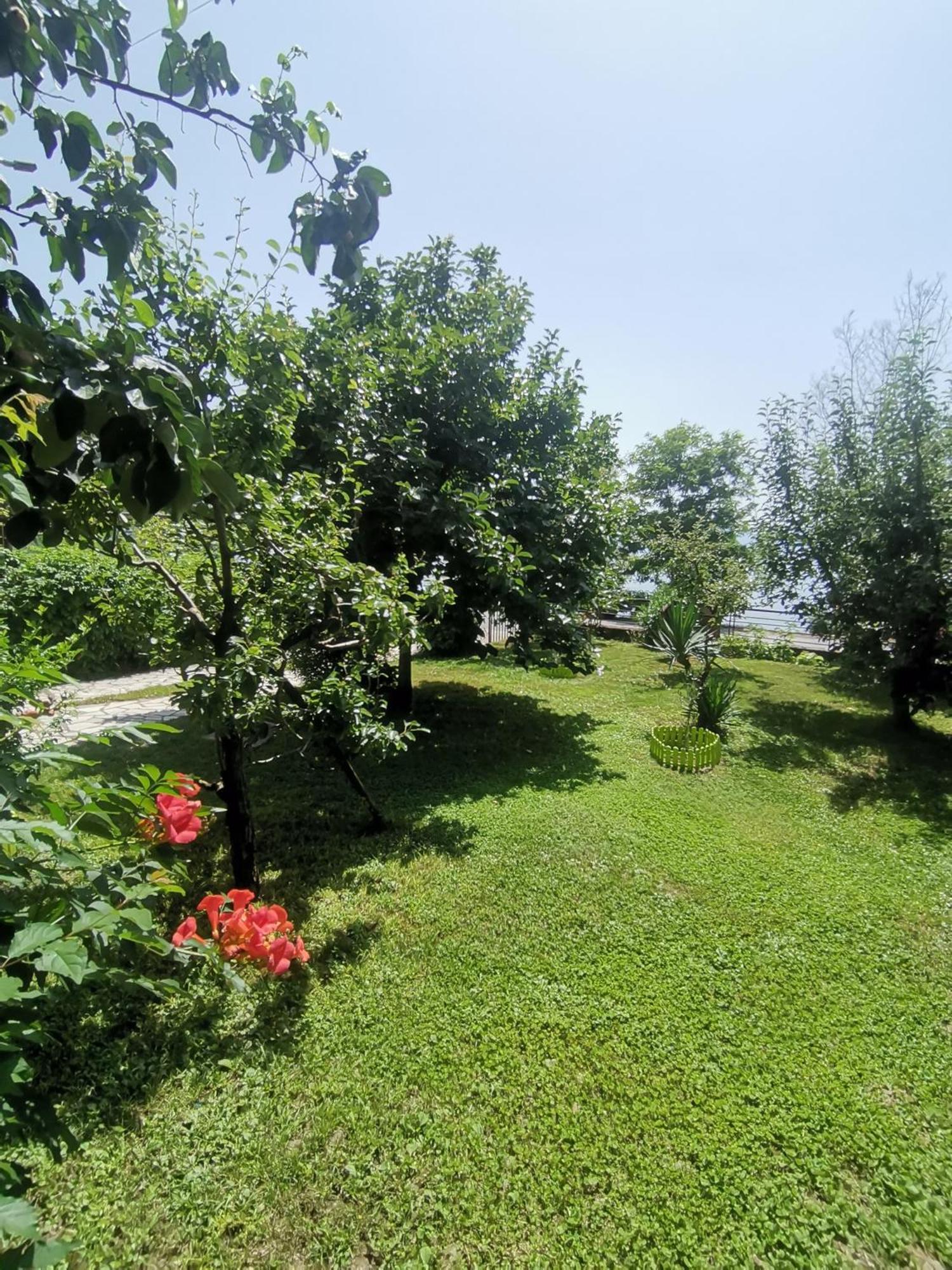 Guesthouse Zimovski Peštani Exterior foto